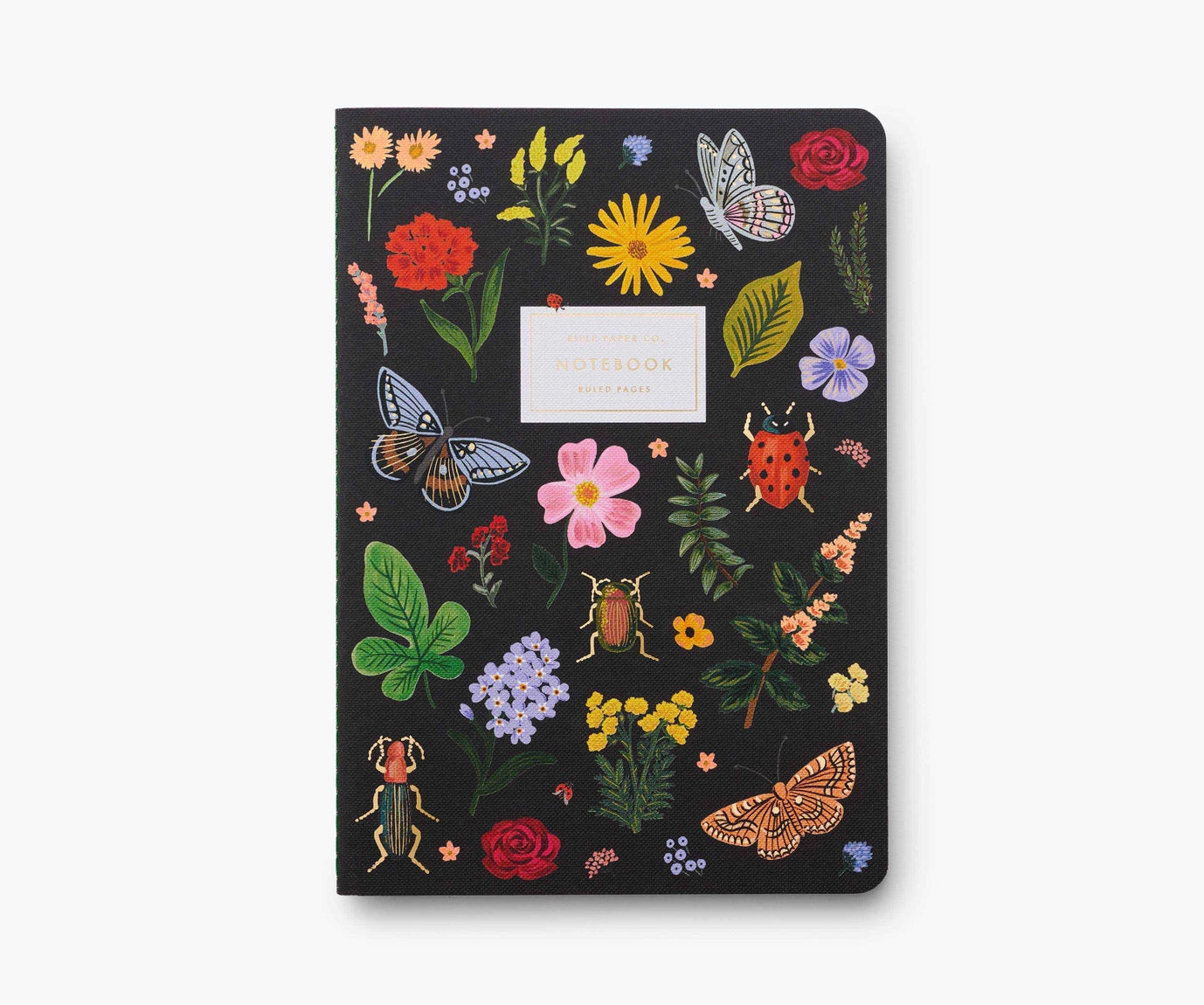 Curio Stitched Notebook Set