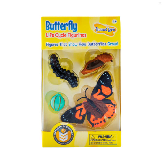 Butterfly Life Cycle Figurines