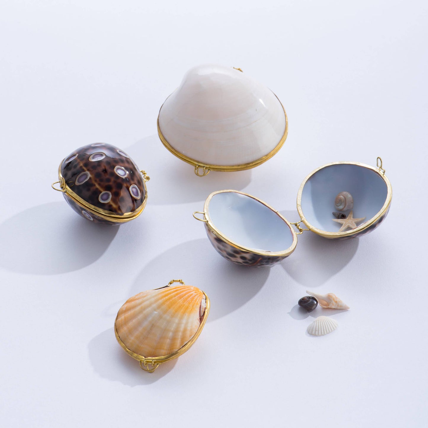 Seashell Boxes