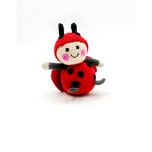 Ladybird Rattle